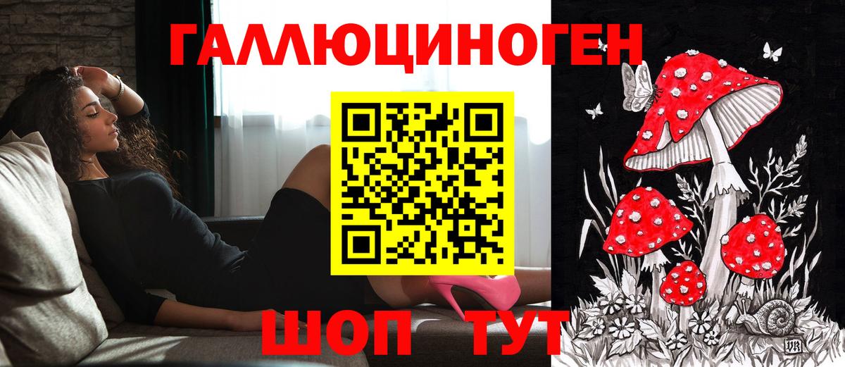 Галлюциногенные грибы мухоморы Междуреченск