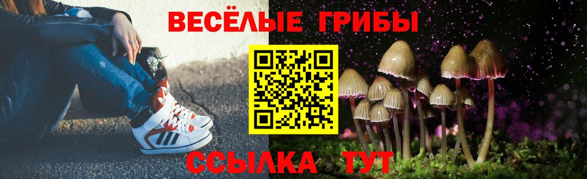 Галлюциногенные грибы ЛСД  дарнет шоп  Вход с VPN  Междуреченск  Галлюциногенные грибы ЛСД 